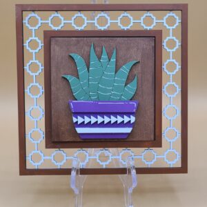 Succulent with white stripes