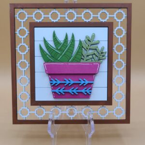 Succulents in purple pot